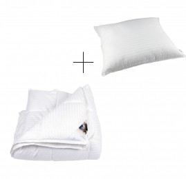 Liv4-seizoenendekbedkussen