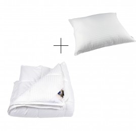 Liv4-seizoenendekbedkussen