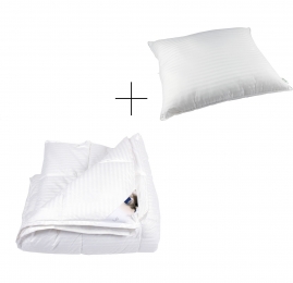 Liv4-seizoenendekbedkussen