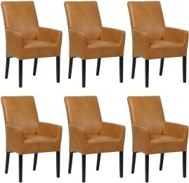 Setvan6LereneetkamerstoelenJust-metarmleuning-EchtleerLandelijkComfortabelenkiesuitmeerdan150kleuren-OntdekdeVeleLeersoortenenKleurenbijShopX