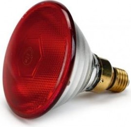 InfraroodWarmtelampPAR38-Vogel-175W