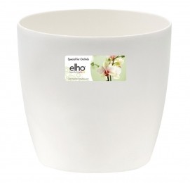 Brusselsorchidee125cmtransparant-Elho