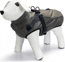 BZHONDENJASTUIGMILOGRS62