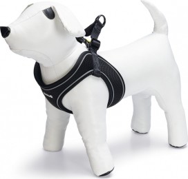 BZPREMPARINCAINSTAPTUIGZWT44-55