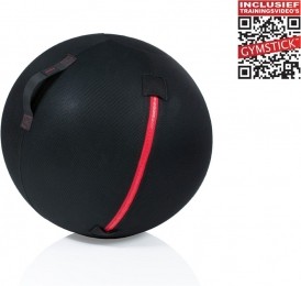 GymstickOfficeBall-75cm-MetOnlineTrainingsvideos