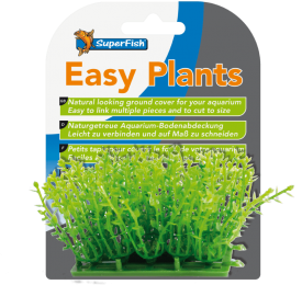 Superfisheasyplantscarpetmis3cm-Superfish
