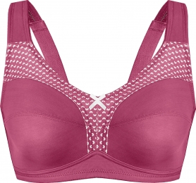 Steunbehazonderbeugel