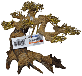 BonsaiDriftwoodMaquaria-Superfish