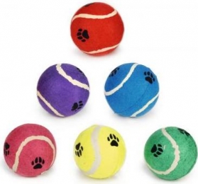 BZTENNISBALVOETOPDRUKGR10