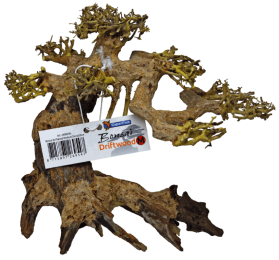 BonsaiDriftwoodMaquariaSuperFish-Superfish