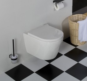 SaniclearJamarandlooshangendtoiletmetdikkesoftclosezitting
