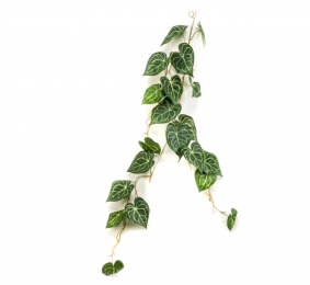 Anthuriumvineprintedleaves110cmkunstplantEmerald-Emerald