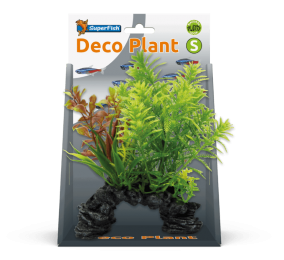 Superfishdecoplantshottonia-Superfish
