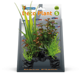 Superfishdecoplantsrotala-Superfish