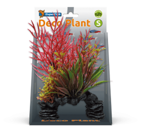 Superfishdecoplantsludwigia-Superfish