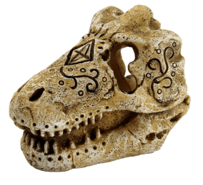 SkullTRexSaquariaSuperfish-Superfish