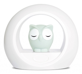 ZazuLouUilGrijsNachtlampje