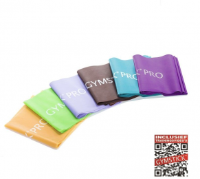 GymstickProWeerstandsband-25m-6-deligeSet-MetOnlineTrainingsvideos