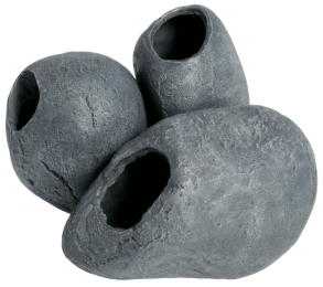 FishCave3aquariaSuperfish-Superfish