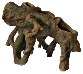 StaandeWortelMaquariaSuperfish-Superfish