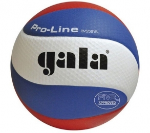 GALAVolleybalPro-line5591S10