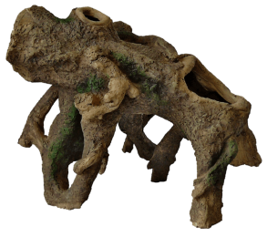 StaandeWortelMaquariaSuperfish-Superfish