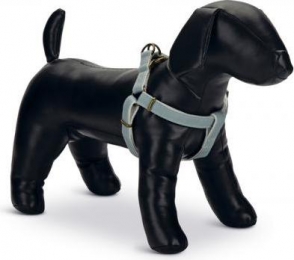 DesignedbyLotteVirante-Hondentuig-Mint-35-60cm