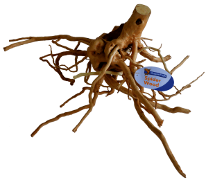 SpiderwoodLargeaquariaSuperFish-Superfish