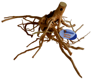 SpiderwoodLargeaquariaSuperFish-Superfish