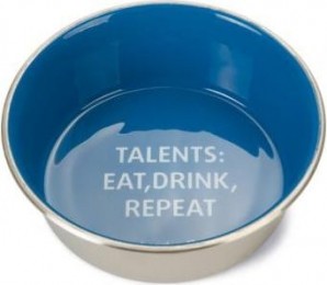 BeezteesVoer-enDrinkbakTalents-Hond-RVS-Blauw-16cm