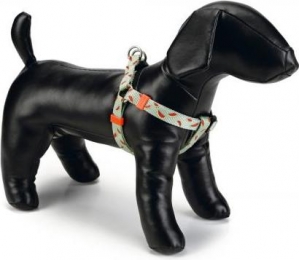 BeezteesMelon-Hondentuig-Lichtgroen-60-100cm