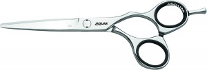 JaguarSilverLineCJ355