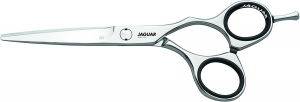 JaguarSilverLineCJ355