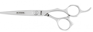 Kyone780Knipschaar55inch