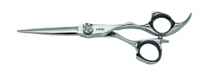 E-KwipKnipschaarGalaxyGA55Zilver55inch