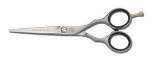 JaguarSchaarsatinECplusErgomodel6inch