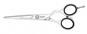 JaguarKnipschaarLumen55inch