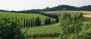 Italienatuur130x50cmTuinschilderij-Customizeit
