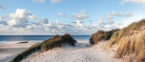 Duinenzee130x50cmTuinschilderijCustomize-it-Customizeit