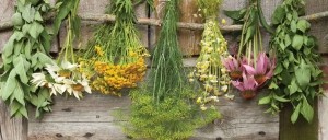 Bosjeskruiden130x50cmTuinschilderijCustomize-it-Customizeit