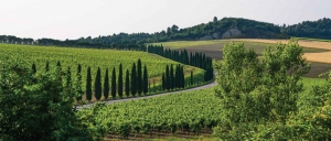 Italienatuur130x50cmTuinschilderijCustomize-it-Customizeit