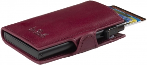 TonyPerotti-TECC3899PI-Pasjeshouder