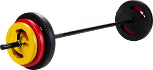 Pure2ImproveCementBarbellSet20Kg