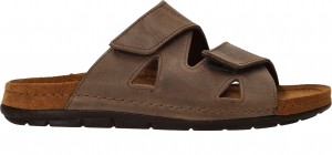 RohdeSlippersBruin
