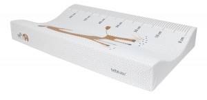 Bebe-JouSteppeAankleedkussen