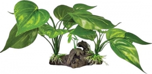 PlantondecolightgreenRepto-Repto