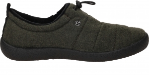 RohdePantoffelsGroen