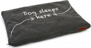 BZLIGKUSSENDORINOANTR94X64X4