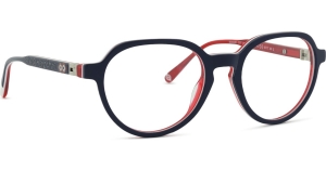 DisneyMinionsMIAA061C071746