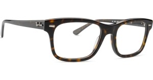 Ray-BanBurbank0RX53832012